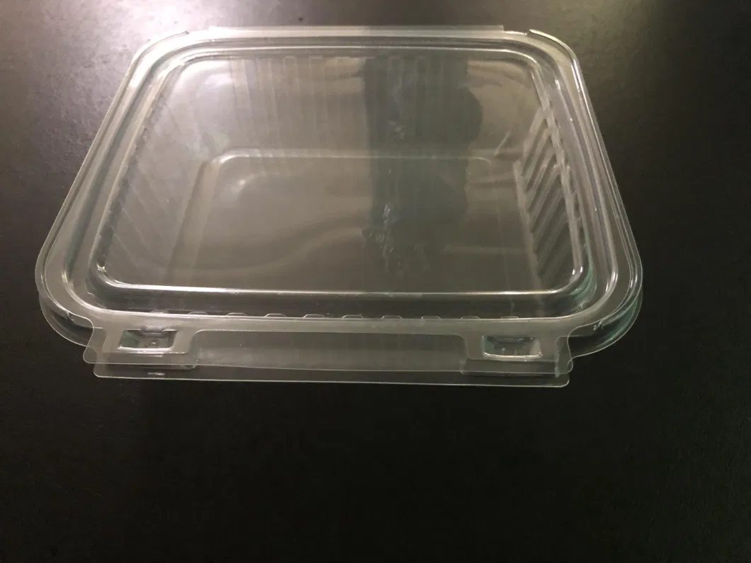 Healthy Clear Disposable Plastic Fruit Vegetable Food Box for Supermarket (PET container)